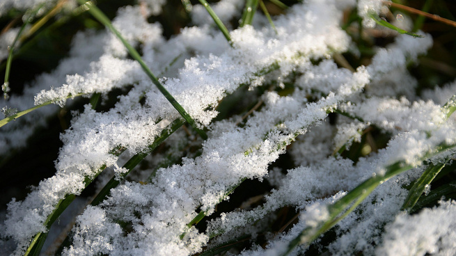 Синоптики обещают заморозки от -1 до -4 в субботу в Ленобласти