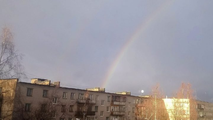 Погодные аномалии продолжают радовать жителей области