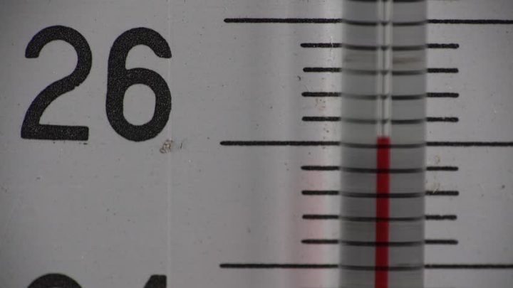 В Ленобласти в четверг воздух прогреется до +26 градусов