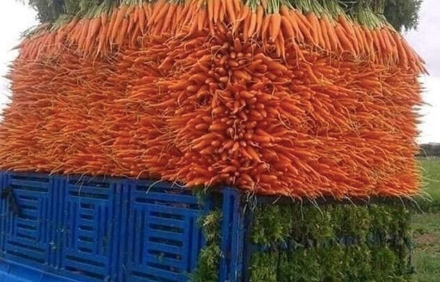 В том году мы решили продавать свой урожай, у нас