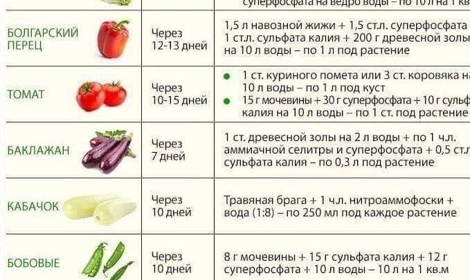 Полезная памятка Пригодится в следующем