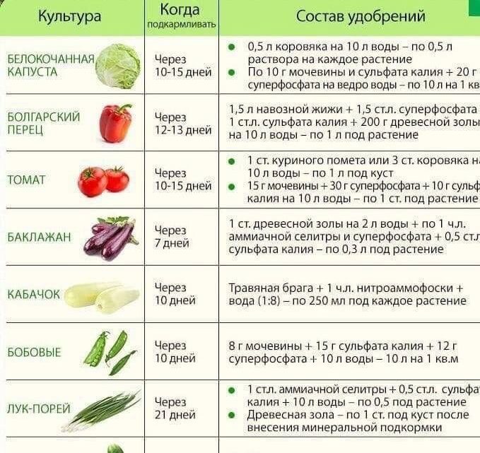 Полезная памятка Пригодится в следующем