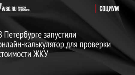 В Петербурге начали действовать новые правила компенсации расходов на «коммуналку»