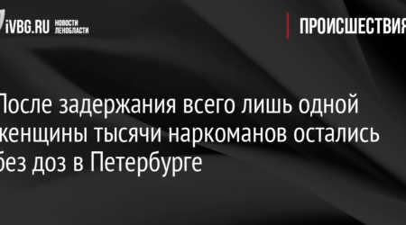 Два пакета с наркотиками найдены в лесу Ломоносовского района