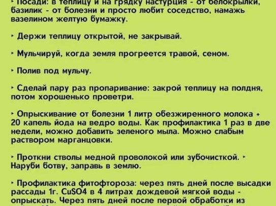 Советы всем любителям томатов