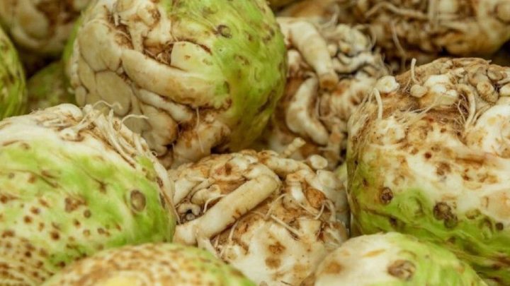 Как вырастить крупный корневой сельдерейЕсть