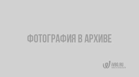 Десятки машин пробили колеса после наезда на коварную яму на набережной Макарова в Петербурге