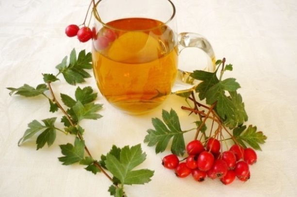 Настои, которые легко очистят вены