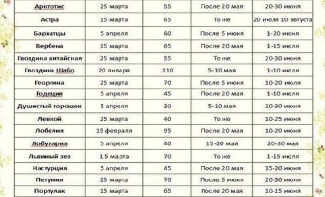 Сроки посева растений