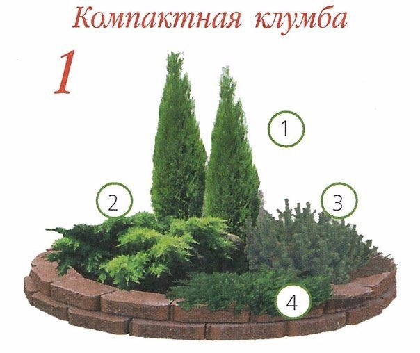 Клумбы с хвойными растениями!Клумба 11.