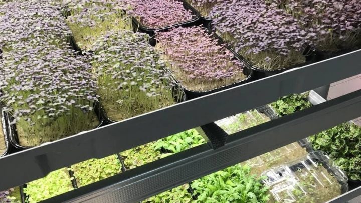 Набираю группу желающих, которые хотят