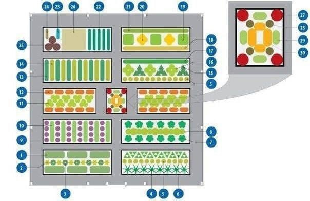 Долго искала схему овощной клумбы,