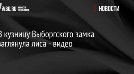 В Кудрово мужчина украл кота из магазина – видео