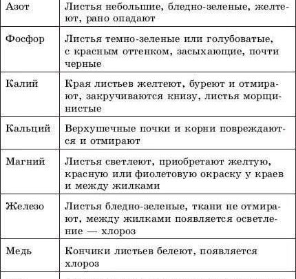 Растения и дефицит