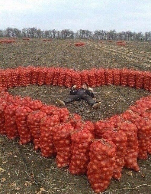 А это наш с мужем урожай картофеля. Все сами, своими