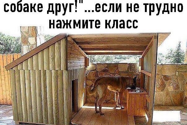 Человек собаке друг. А Сергей, который сделала для своего пёсика