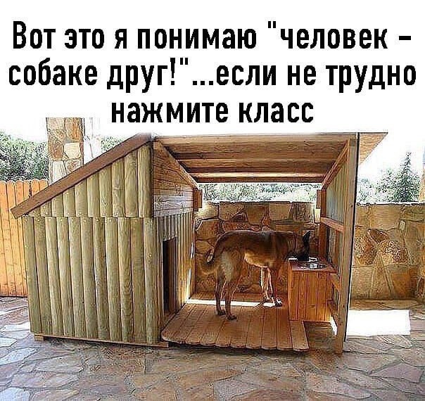 Человек собаке друг. А Сергей, который сделала для своего пёсика