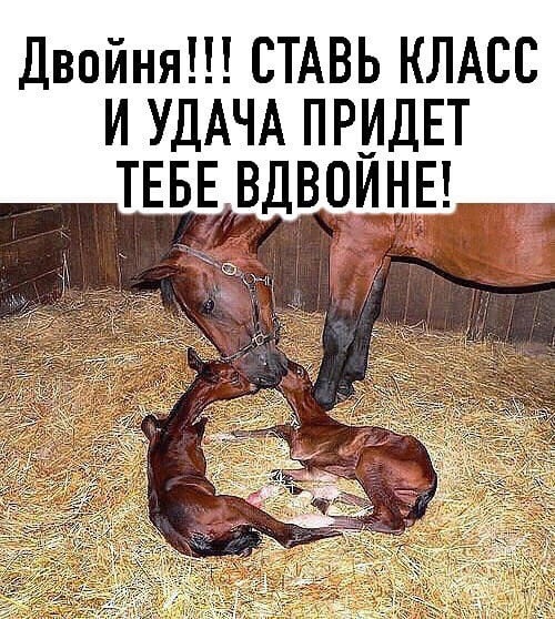 Вот так удача, у нашей Марты родились двое детенышей. Счастью