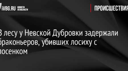 Жители Ленобласти могут сообщить о браконьерах на «горячую линию»