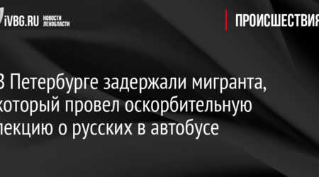 Мигрант, приставив нож к горлу, ограбил таксиста в Петербурге