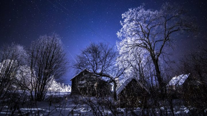Зимний лес попал в объектив фотографа в Ленобласти