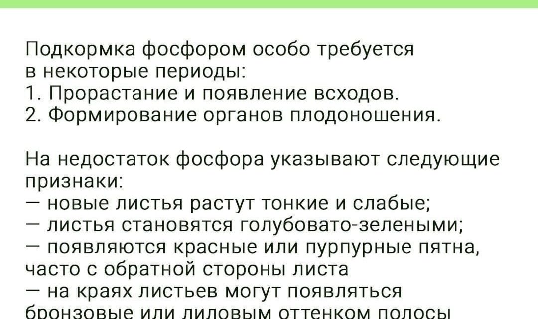 Фосфор для растений В жизни растений он участвует в процессах